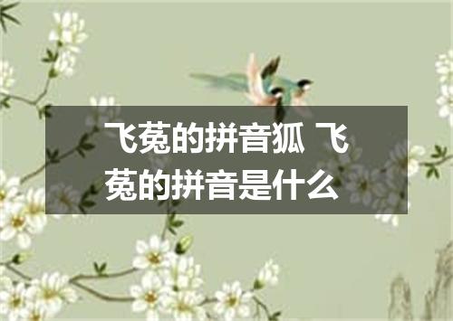 飞菟的拼音狐 飞菟的拼音是什么