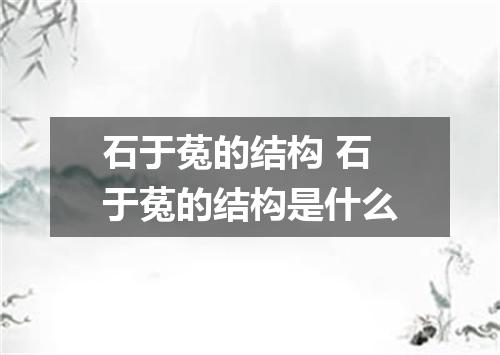 石于菟的结构 石于菟的结构是什么