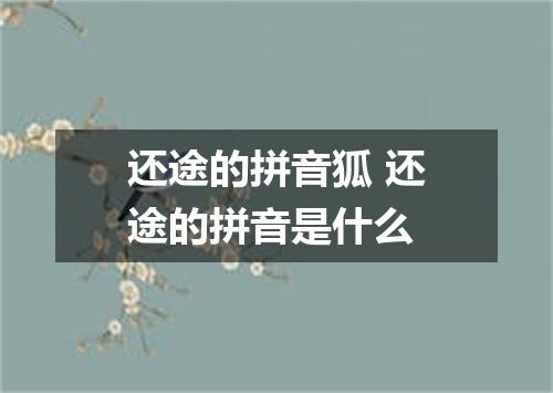 还途的拼音狐 还途的拼音是什么