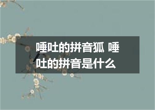 唾吐的拼音狐 唾吐的拼音是什么