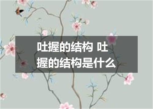 吐握的结构 吐握的结构是什么
