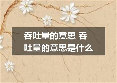 吞吐量的意思 吞吐量的意思是什么