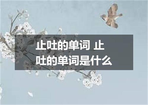 止吐的单词 止吐的单词是什么