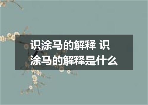识涂马的解释 识涂马的解释是什么