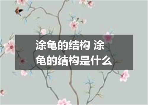 涂龟的结构 涂龟的结构是什么