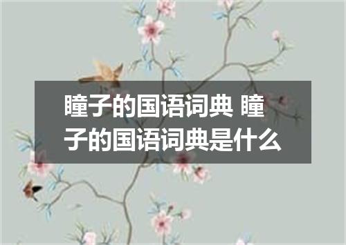 瞳子的国语词典 瞳子的国语词典是什么