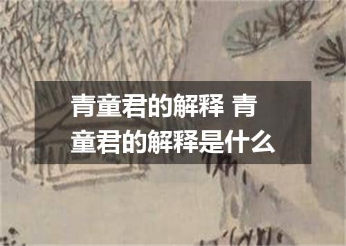 青童君的解释 青童君的解释是什么
