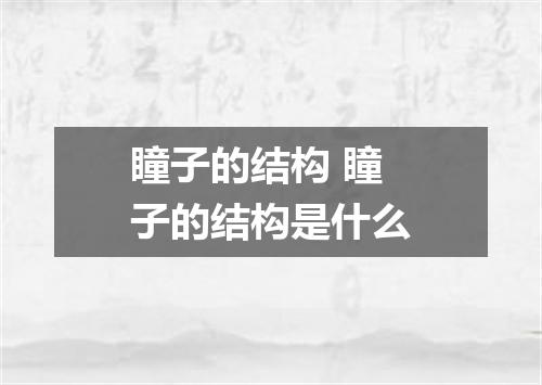 瞳子的结构 瞳子的结构是什么