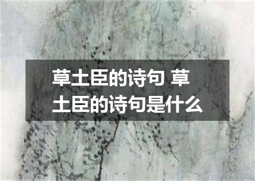 草土臣的诗句 草土臣的诗句是什么