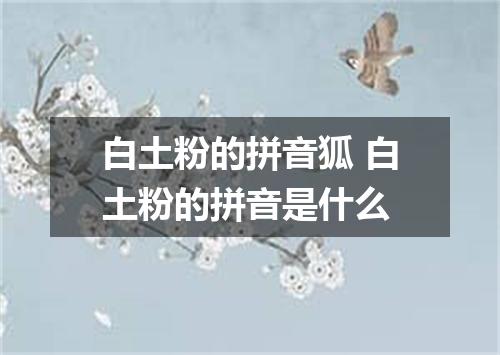 白土粉的拼音狐 白土粉的拼音是什么
