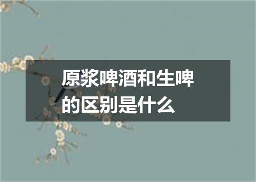 原浆啤酒和生啤的区别是什么