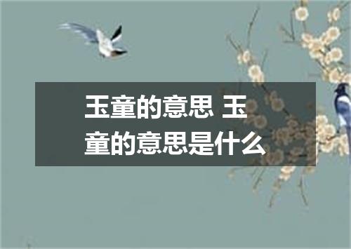 玉童的意思 玉童的意思是什么