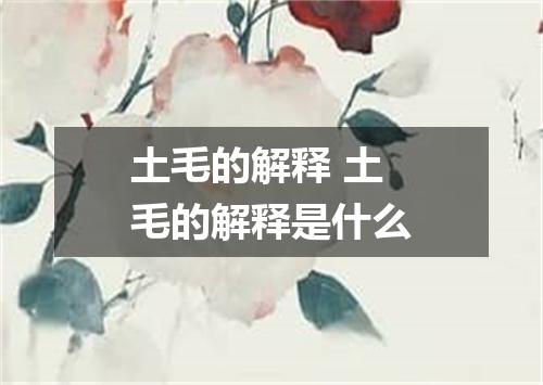 土毛的解释 土毛的解释是什么