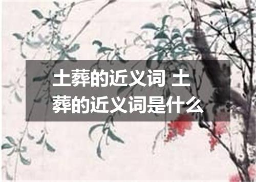 土葬的近义词 土葬的近义词是什么