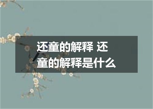 还童的解释 还童的解释是什么