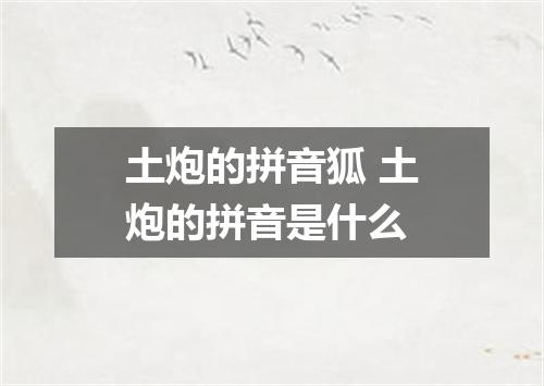 土炮的拼音狐 土炮的拼音是什么