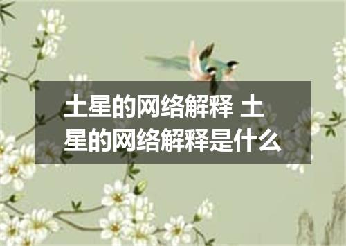 土星的网络解释 土星的网络解释是什么