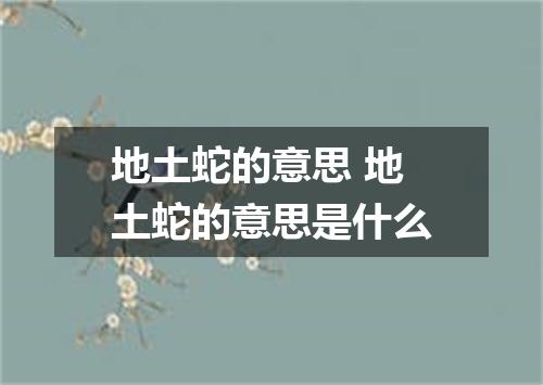 地土蛇的意思 地土蛇的意思是什么