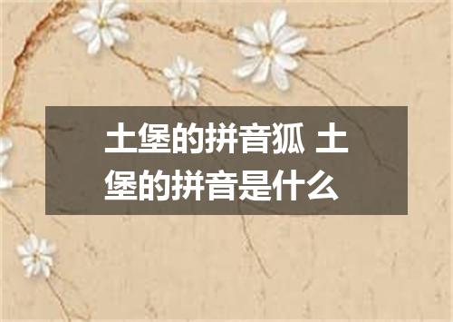 土堡的拼音狐 土堡的拼音是什么