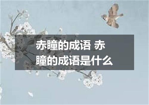 赤瞳的成语 赤瞳的成语是什么