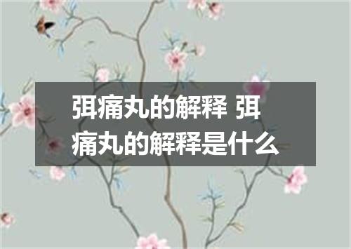 弭痛丸的解释 弭痛丸的解释是什么