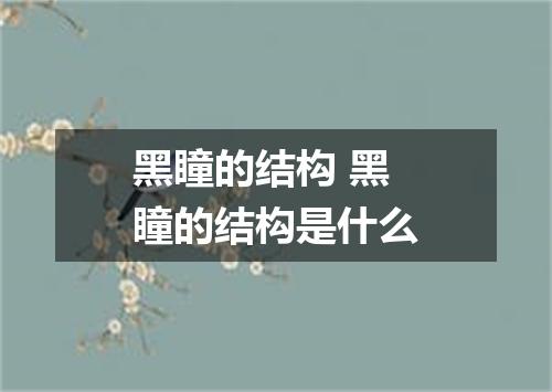 黑瞳的结构 黑瞳的结构是什么