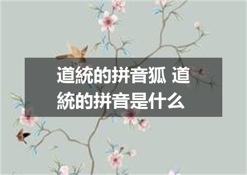 道統的拼音狐 道統的拼音是什么