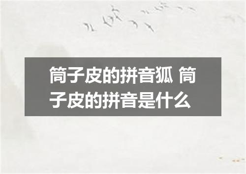 筒子皮的拼音狐 筒子皮的拼音是什么