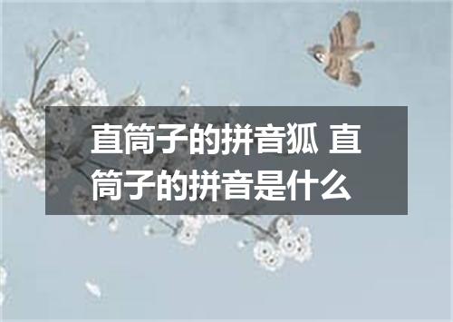 直筒子的拼音狐 直筒子的拼音是什么