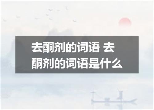 去酮剂的词语 去酮剂的词语是什么