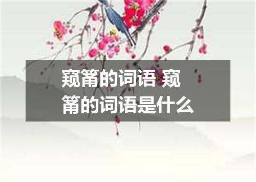 窥筩的词语 窥筩的词语是什么