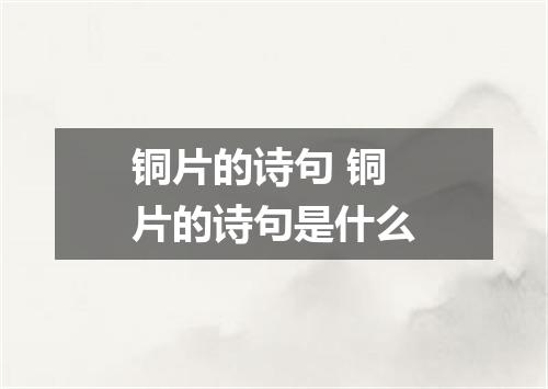 铜片的诗句 铜片的诗句是什么