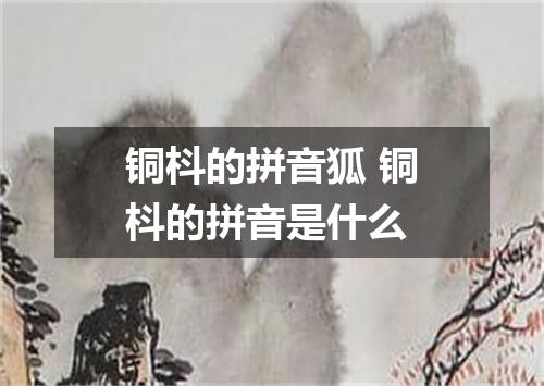 铜枓的拼音狐 铜枓的拼音是什么