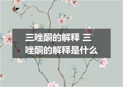 三唑酮的解释 三唑酮的解释是什么