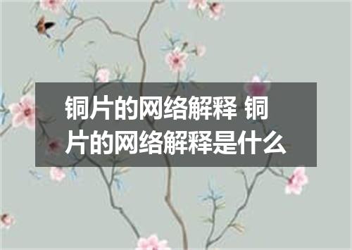 铜片的网络解释 铜片的网络解释是什么