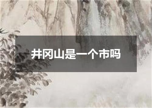 井冈山是一个市吗