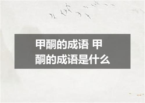 甲酮的成语 甲酮的成语是什么