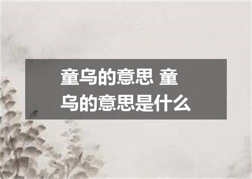 童乌的意思 童乌的意思是什么