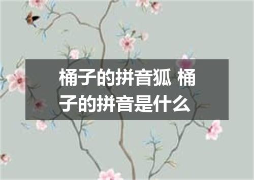 桶子的拼音狐 桶子的拼音是什么