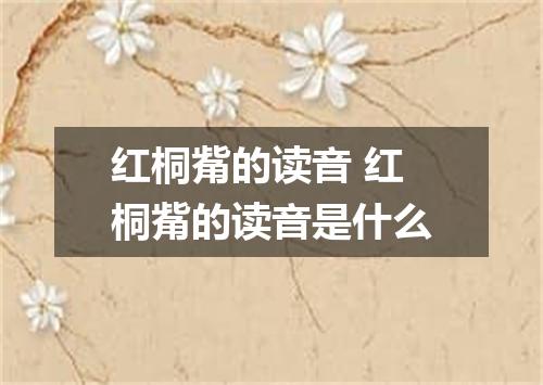 红桐觜的读音 红桐觜的读音是什么