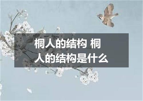 桐人的结构 桐人的结构是什么