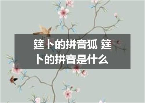 筳卜的拼音狐 筳卜的拼音是什么