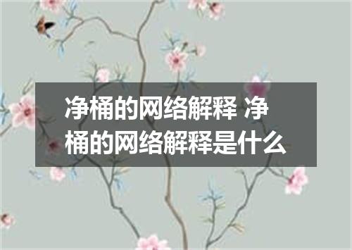 净桶的网络解释 净桶的网络解释是什么