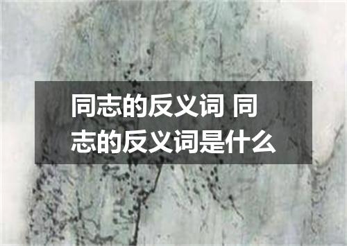 同志的反义词 同志的反义词是什么