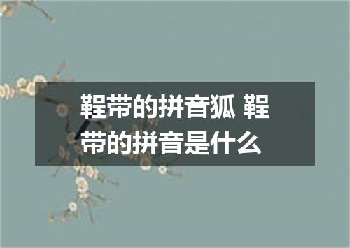 鞓带的拼音狐 鞓带的拼音是什么