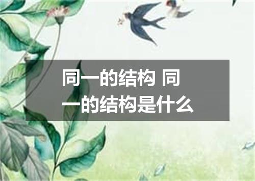 同一的结构 同一的结构是什么