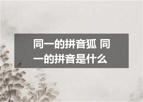同一的拼音狐 同一的拼音是什么