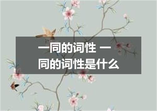 一同的词性 一同的词性是什么