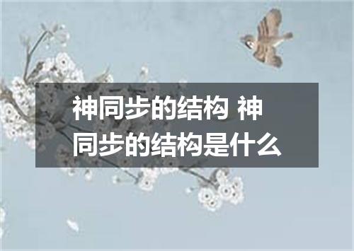 神同步的结构 神同步的结构是什么
