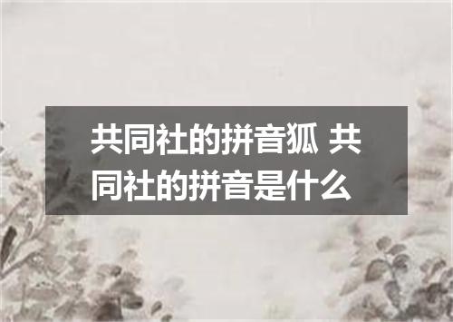 共同社的拼音狐 共同社的拼音是什么